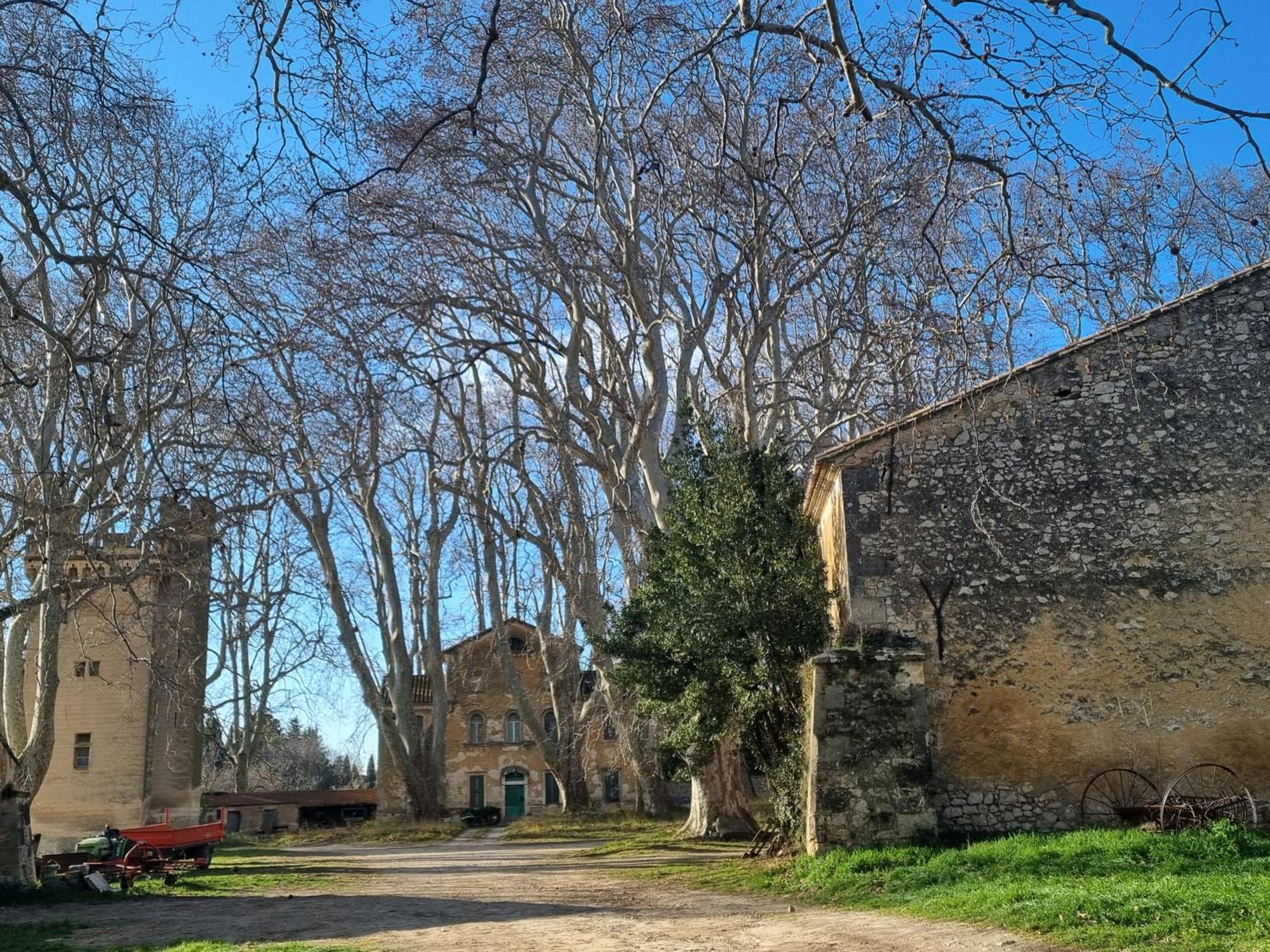 Les Garrigues De La Vallee Des Baux Paradou Ngoại thất bức ảnh