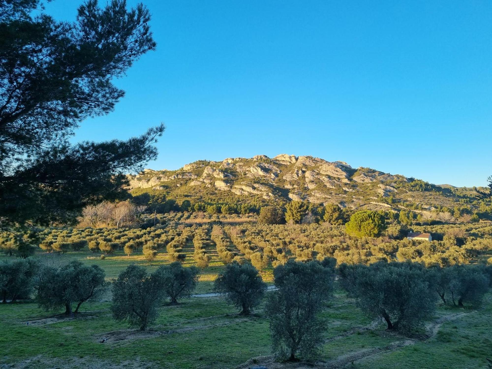 Les Garrigues De La Vallee Des Baux Paradou Ngoại thất bức ảnh