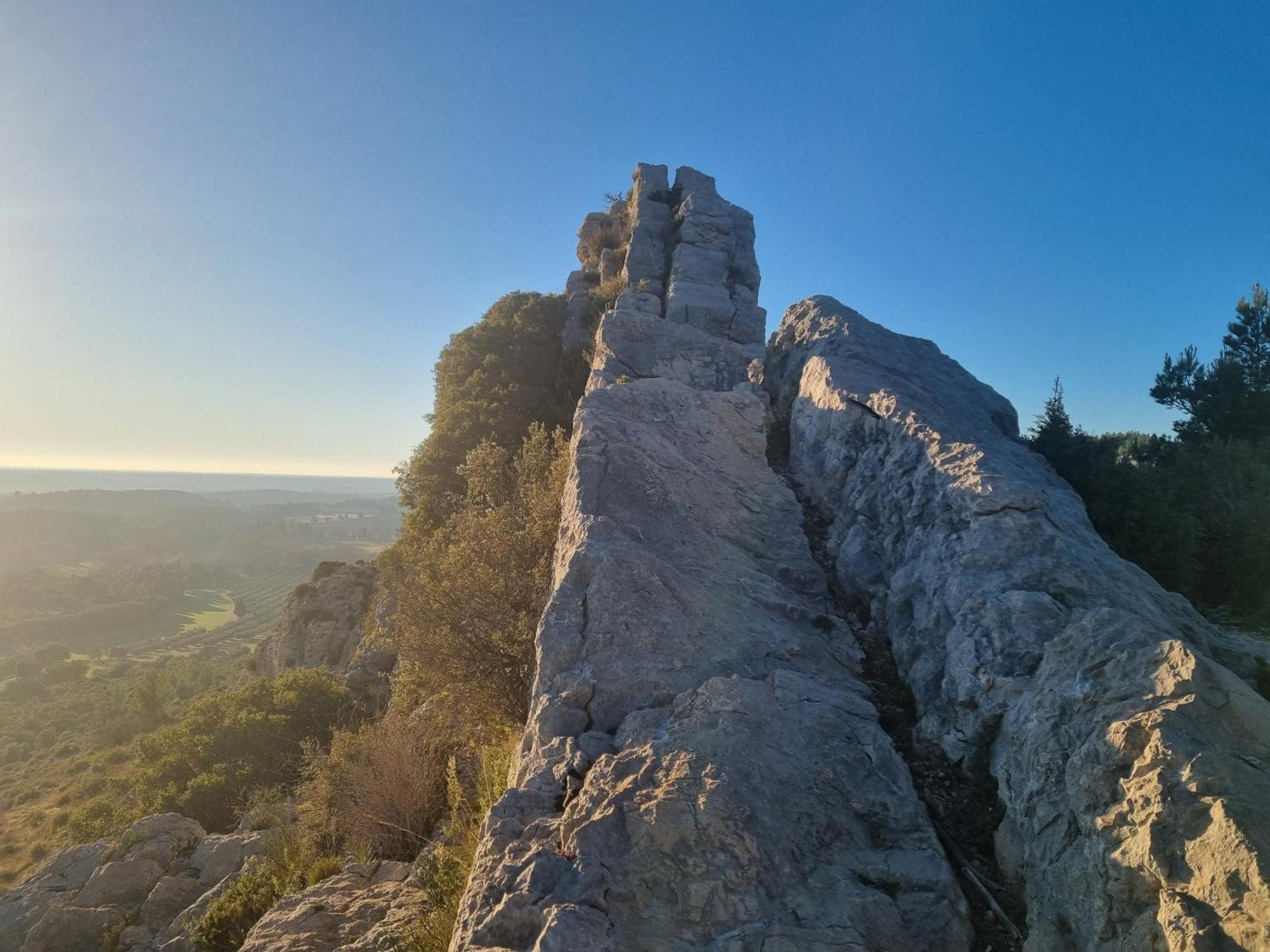 Les Garrigues De La Vallee Des Baux Paradou Ngoại thất bức ảnh