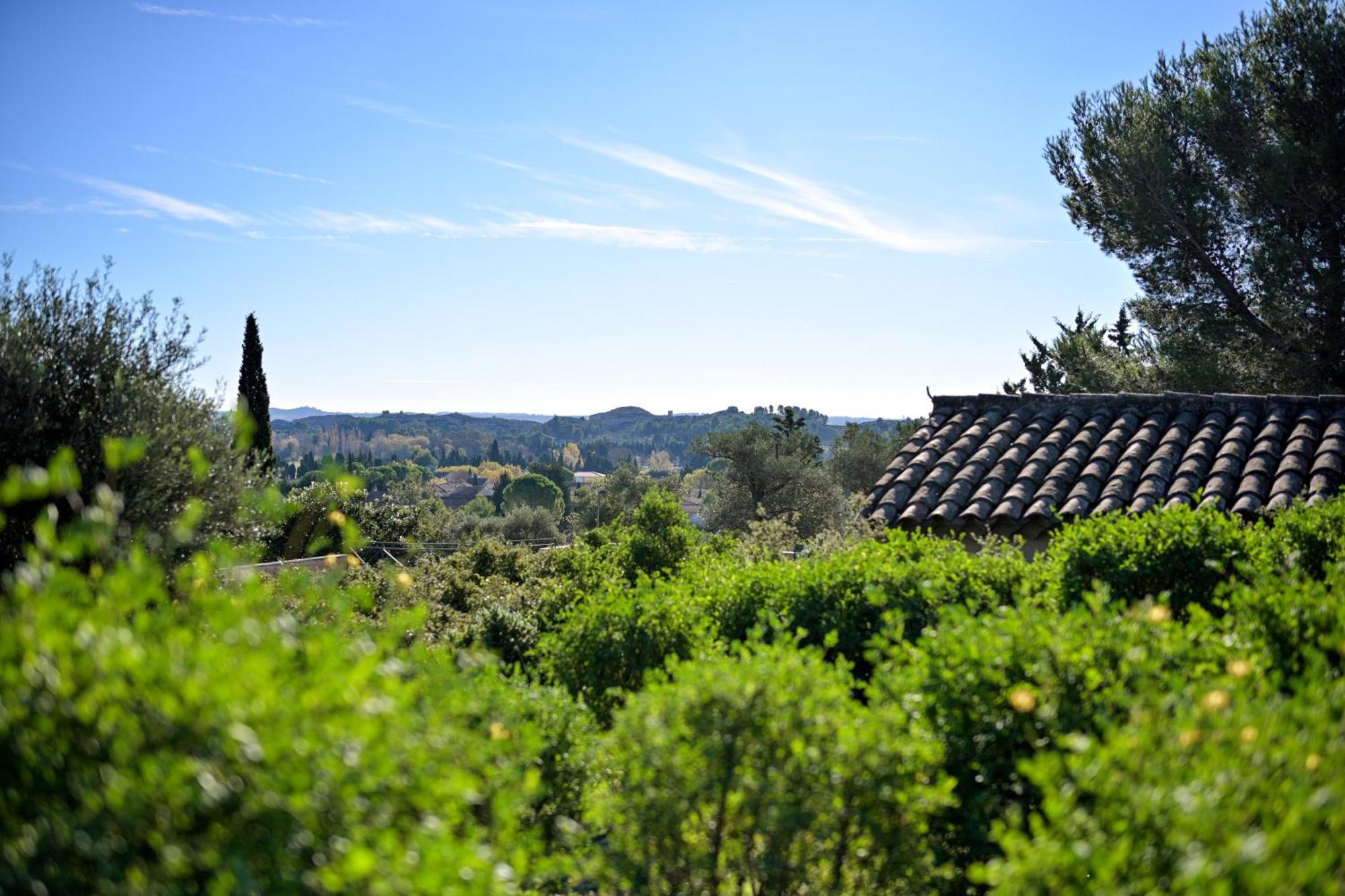 Les Garrigues De La Vallee Des Baux Paradou Ngoại thất bức ảnh